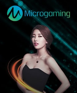 Microgaming casino